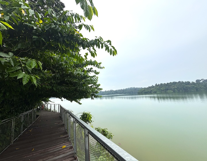 mandai boardwalk – mandai wildlife reserve – mandai boardwalk map – mandai boardwalk photos – mandai boardwalk how to get there – mandai boardwalk reviews – mandai boardwalk parking - mandai boardwalk opening hours