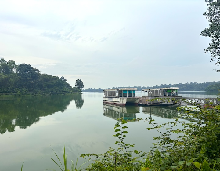 mandai boardwalk – mandai wildlife reserve – mandai boardwalk map – mandai boardwalk photos – mandai boardwalk how to get there – mandai boardwalk reviews – mandai boardwalk parking - mandai boardwalk opening hours