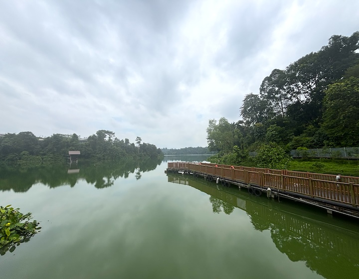 mandai boardwalk – mandai wildlife reserve – mandai boardwalk map – mandai boardwalk photos – mandai boardwalk how to get there – mandai boardwalk reviews – mandai boardwalk parking - mandai boardwalk opening hours