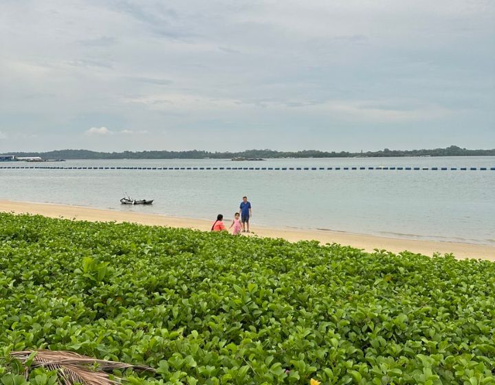 pasir ris beach park 