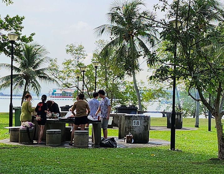 pasir ris park bbq pits - pasir ris park camping