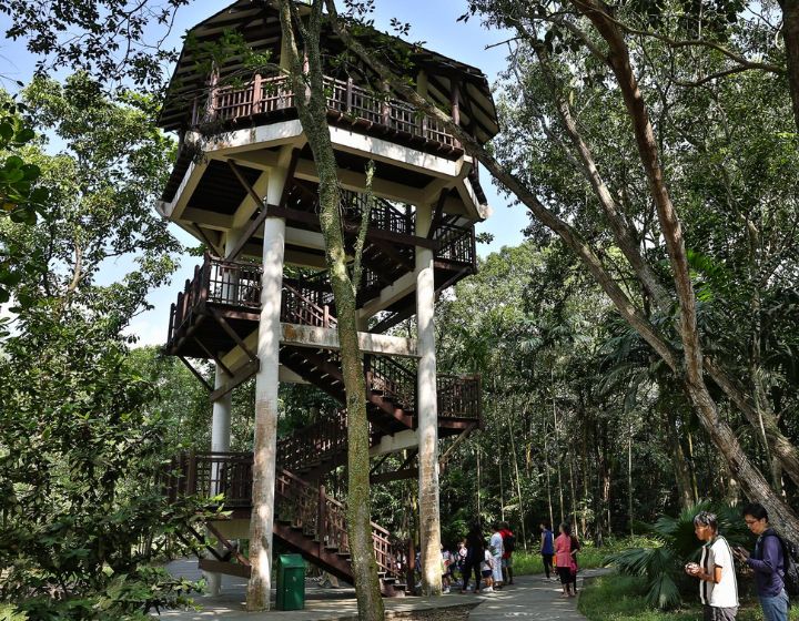 pasir ris park bird tower - pasir ris park bird watching tower 