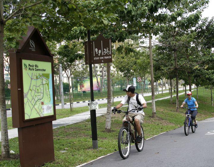 pasir ris park connector - pasir ris park bicycle rental cycling