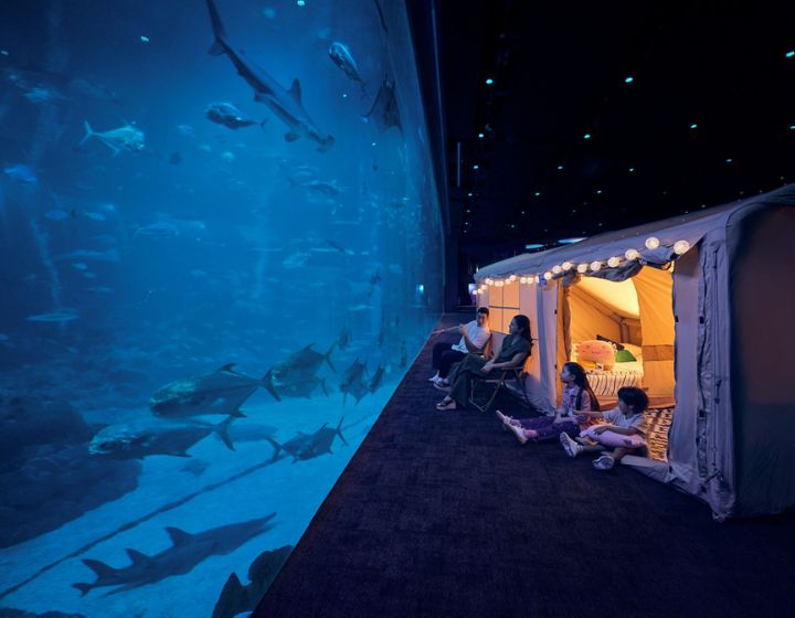 Singapore Oceanarium glamping - ocean dreams