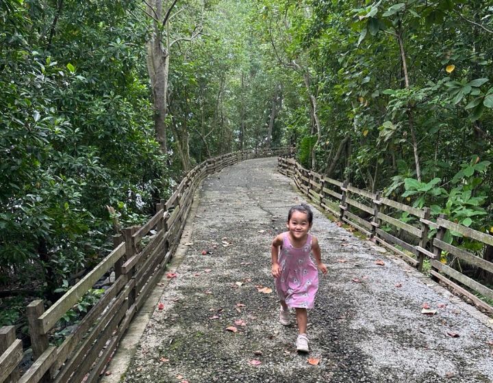 guide to sungei buloh wetland reserve