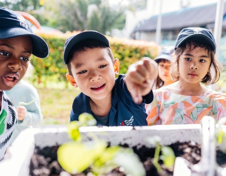 international school news september 2025 - international community school