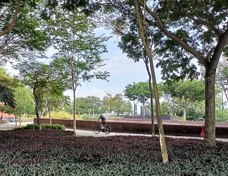 punggol point park - scenery