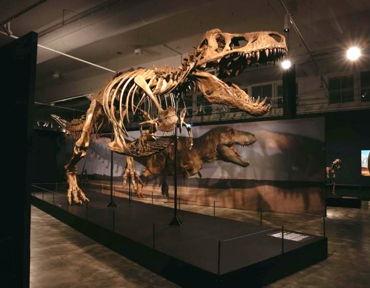whats new mama - october 2025 - science centre singapore - dinosaurs - extinctions - us 