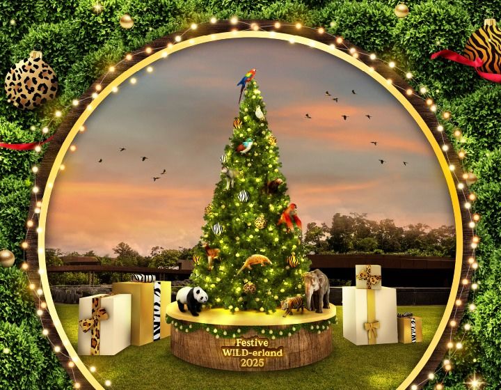 Festive WILD-erland at Bird Paradise & Rainforest Wild ASIA - christmas events - singapore zoo - christmas