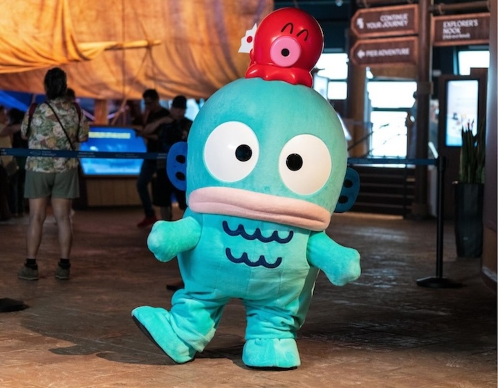 year-end holiday activities singapore - singapore oceanarium hangyodon