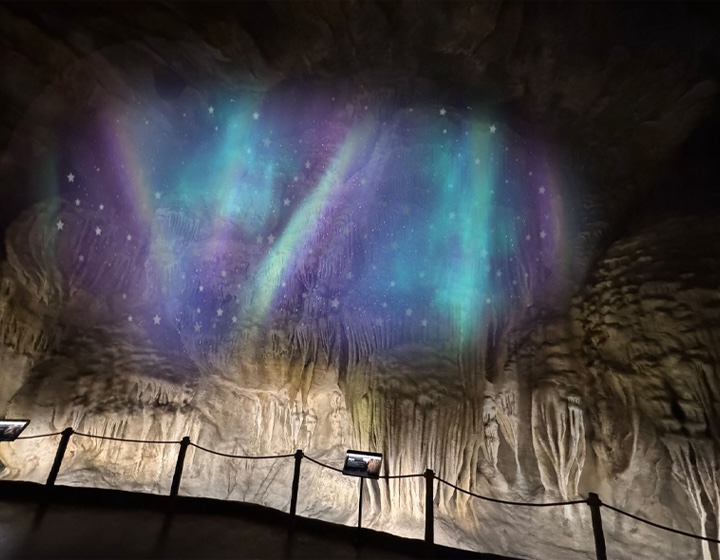 snow in singapore - rainforest wild asia