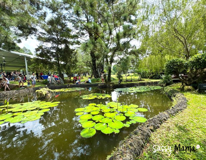 The Istana Open House Singapore