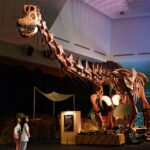 indoor activities in singapore - dinosaurs extinctions us at science centre singapore