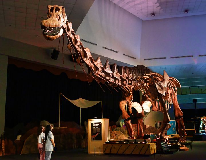 dinosaurs extinctions us at science centre singapore