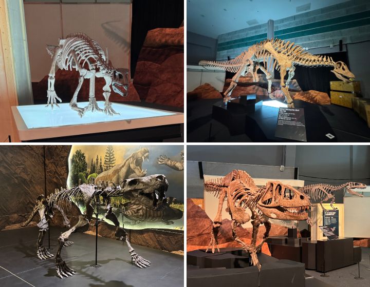 dinosaurs extinctions us at science centre singapore