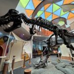dinosaurs extinctions us at science centre singapore