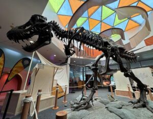 dinosaurs extinctions us at science centre singapore