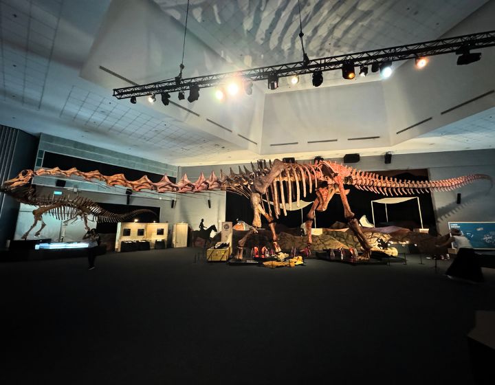 dinosaurs extinctions us at science centre singapore