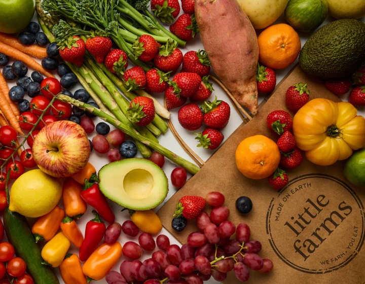 organic vegetables singapore - little farms