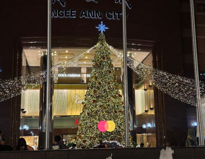 Orchard Road light up photos - christmas on a great street tree
