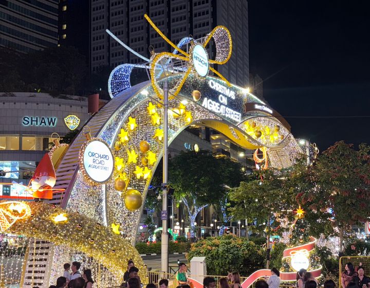 Orchard Road light up photos - christmas on a great street