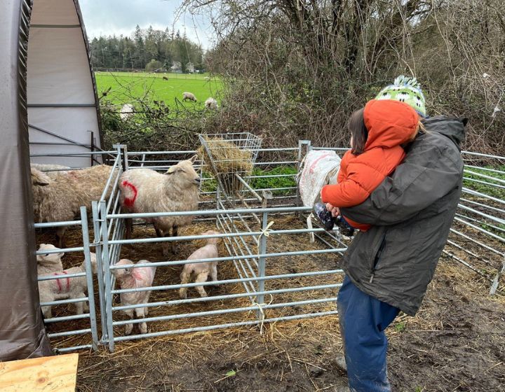 Overseas Mama - Huili UK