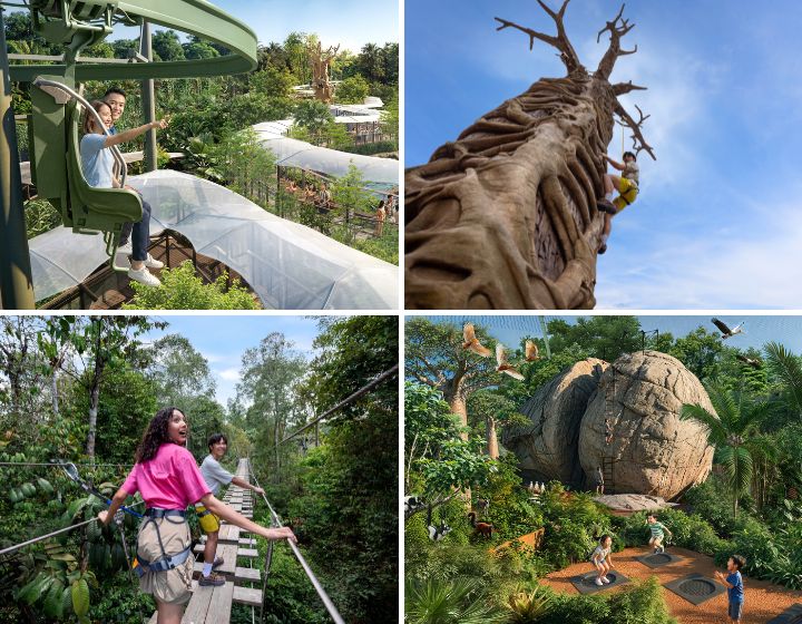 Rainforest Wild Adventue - Image credit: Mandai Wildlife Group