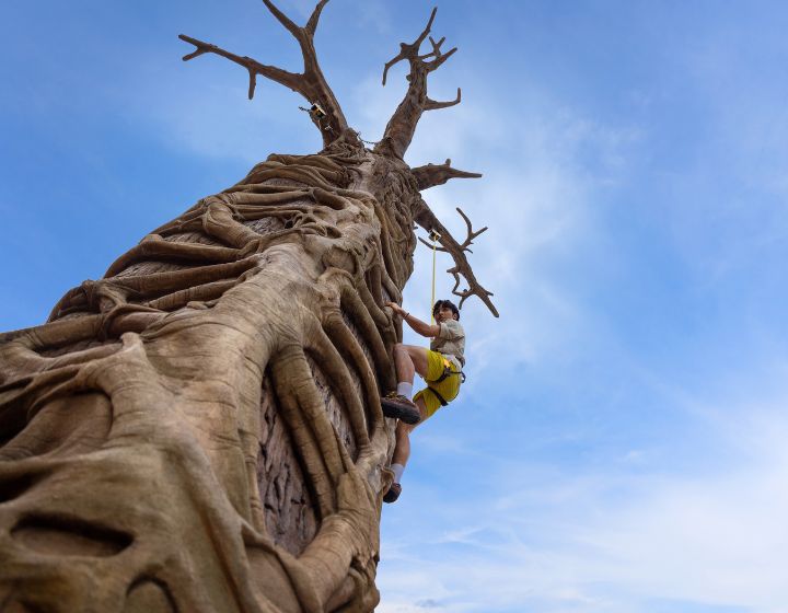 things to do in singapore this weekend - Rainforest Wild Adventure - primate climb