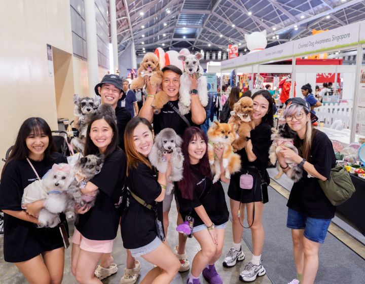 things to do this weekend in singapore -pet expo singapore