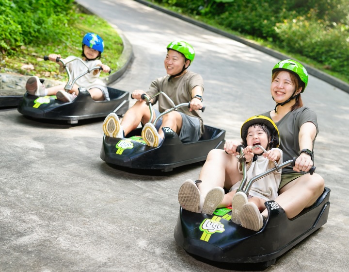 year-end holiday activities - skyline luge 