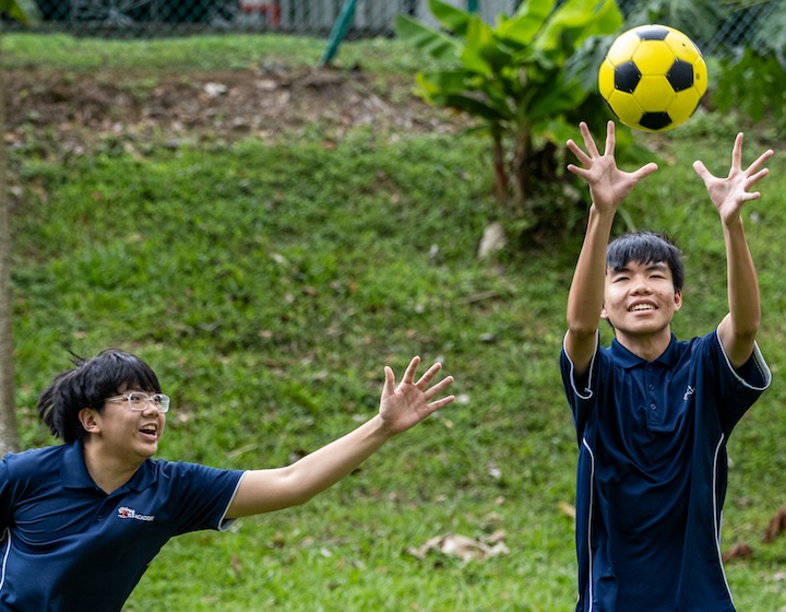 affordable international school singapore - tls academy