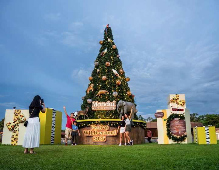 Christmas events and activities in singapore - mandai wildlife reserve