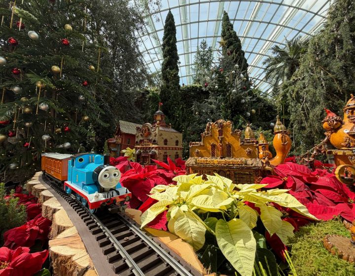 Christmas Train show - things to do this weekend in singapore