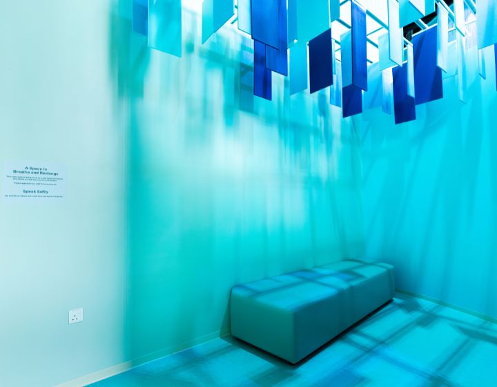 curiosity cove mandai calm room