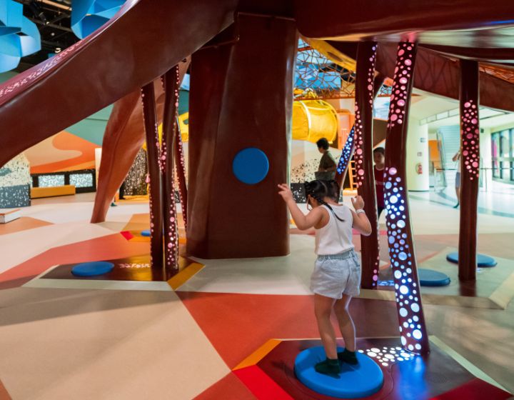 curiosity cove at mandai 