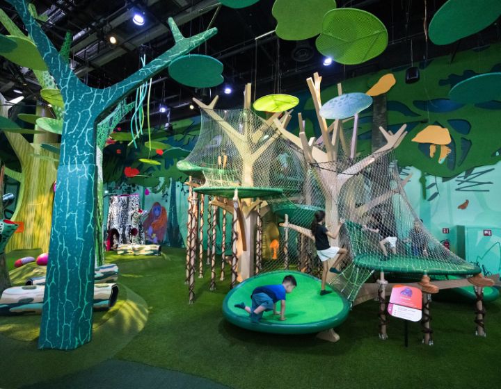 things to do this weekend in singapore - curiosity cove at mandai - forestlands playground