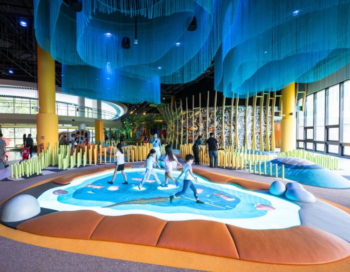 curiosity cove at mandai new playground