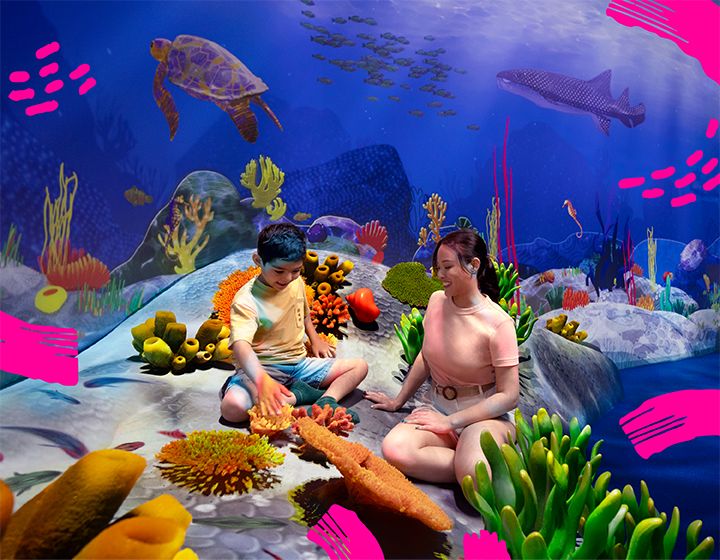 curiosity cove at mandai wildlife reserve - review