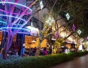 Quayside isle christmas paw patrol meet and greet