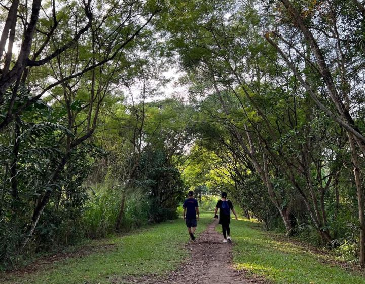 tampines eco green - forest trail - couple hiking - nature park