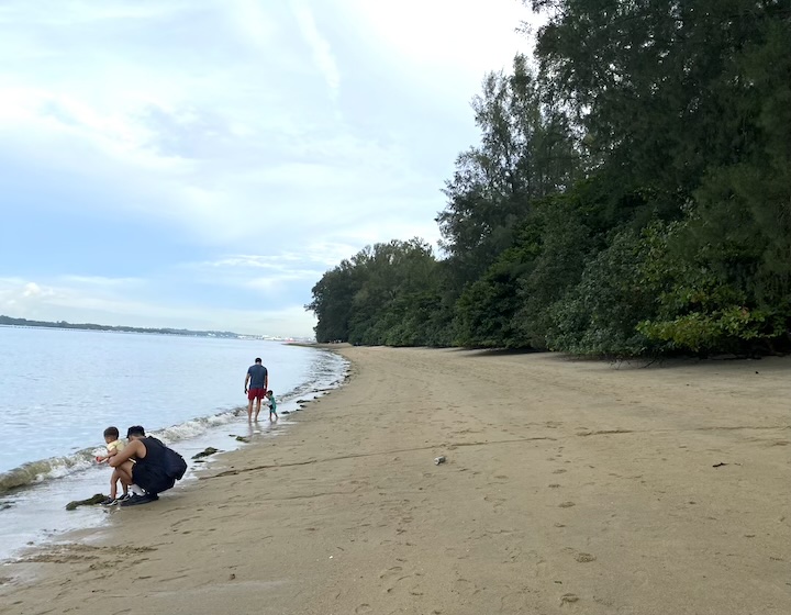 coney island singapore - beach