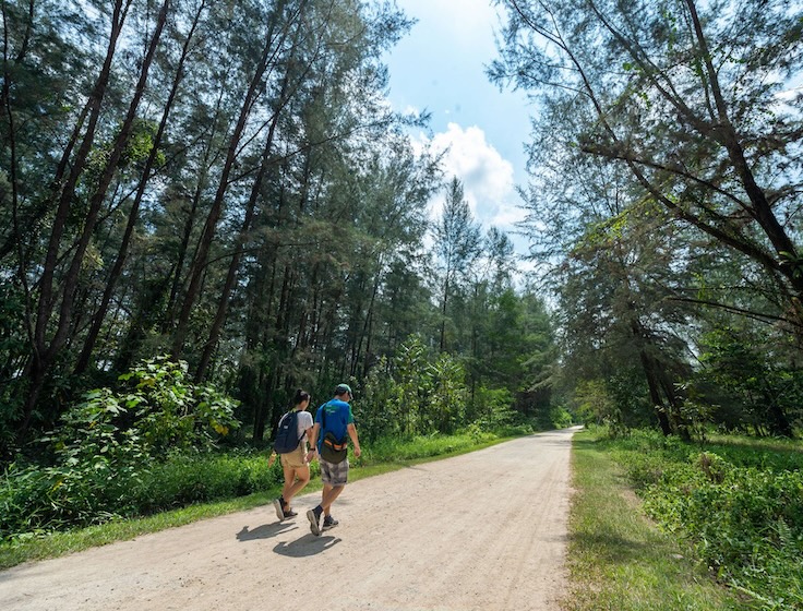 coney island singapore - hiking trail