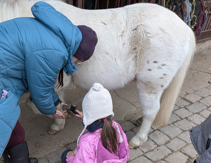 overseas mama - pan wang yu