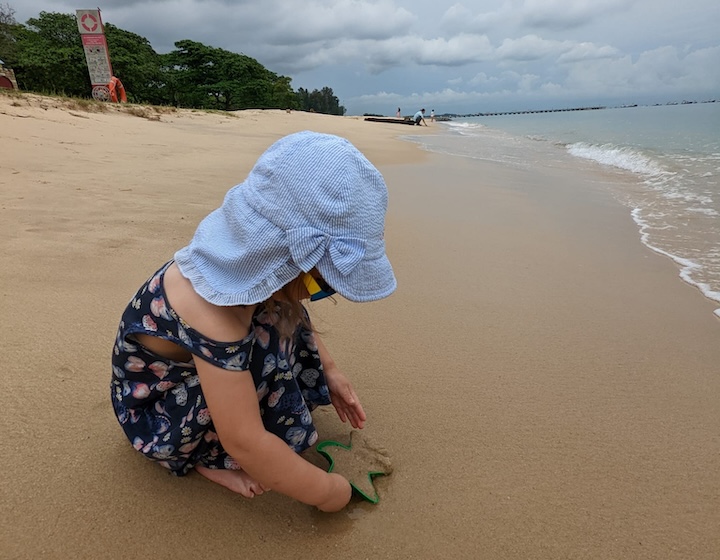 overseas mama - pan wang yu