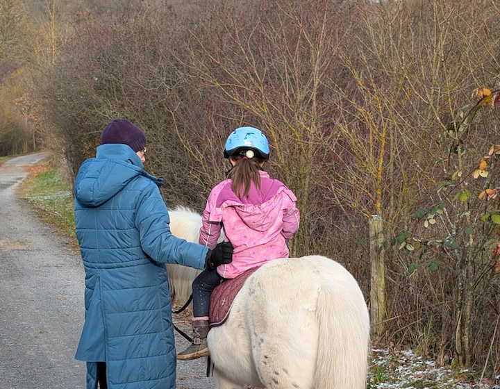 overseas mama - pan wang yu