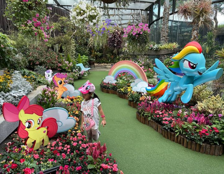 things to do this weekend in singapore - my little pony floral fantasy