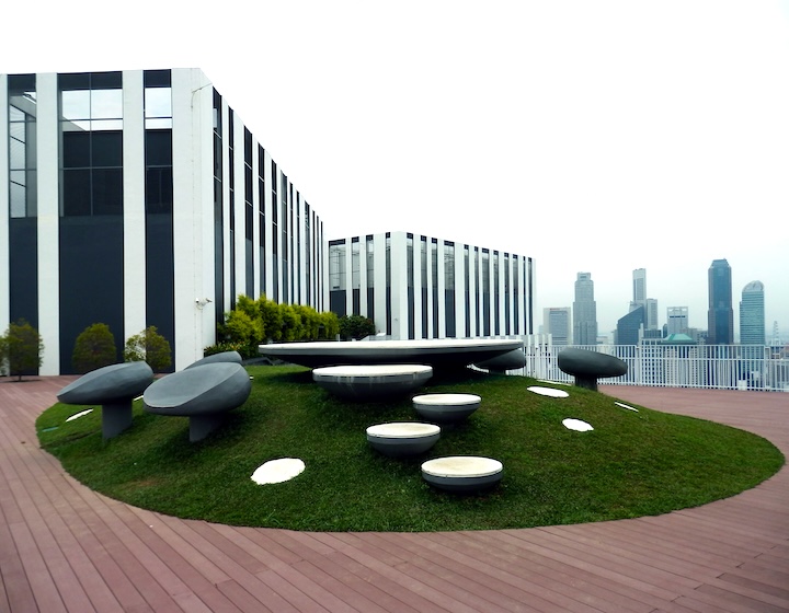 rooftop garden singapore - pinnacle@duxton