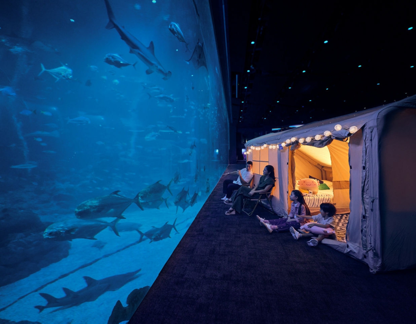 singapore oceanarium - ocean dreams glamping