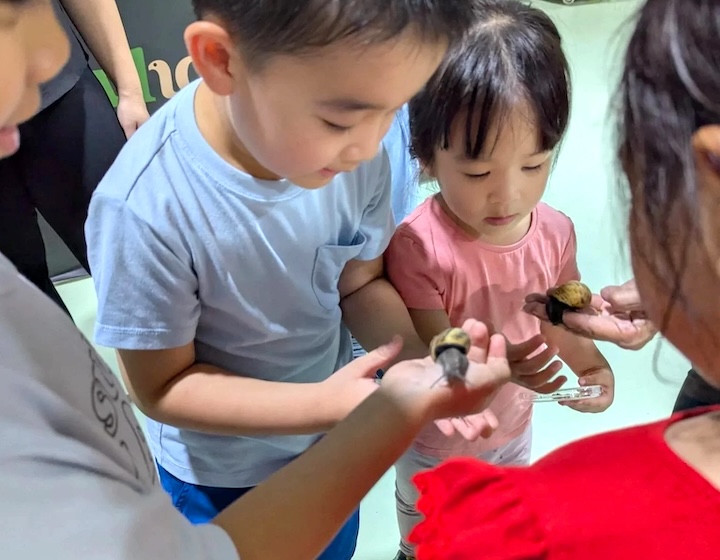 animal farm singapore - wholesnail