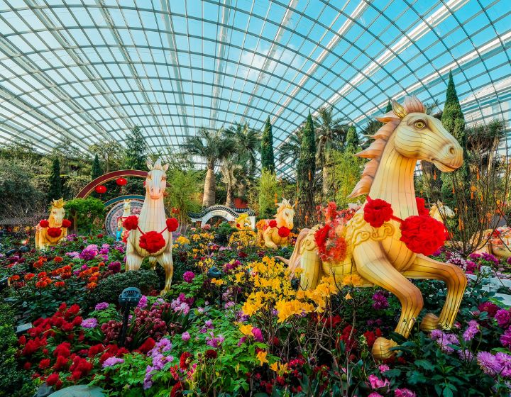 cny events and activities - spring blossom 